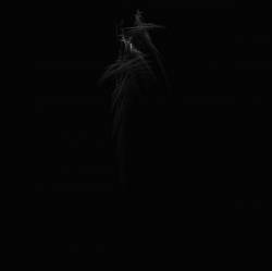 Grist (AUS) : The Spectral Fall